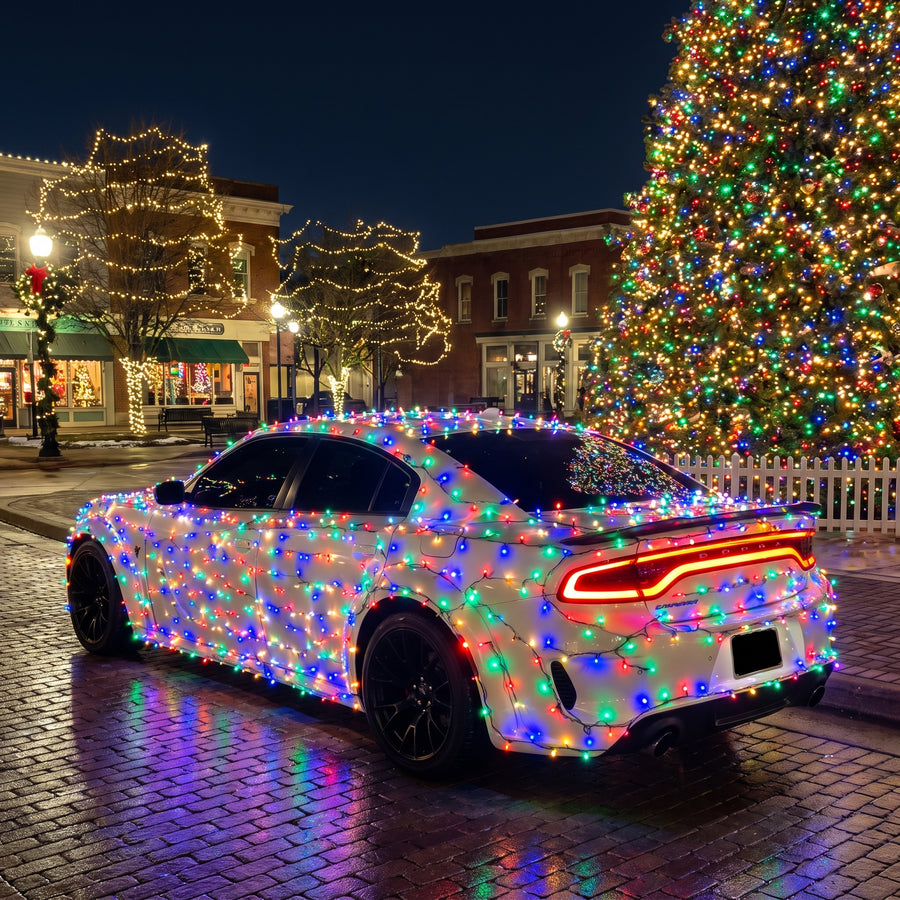 A festive look for displays, meets and photos